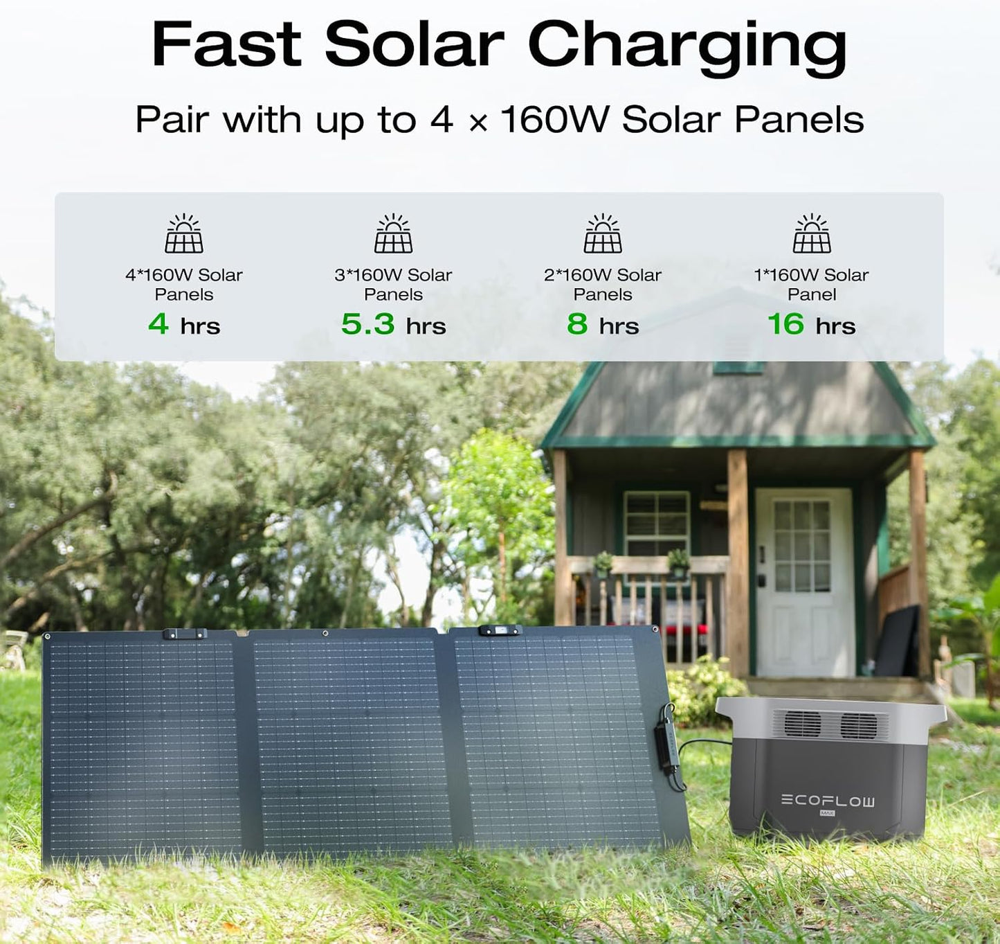 EF ECOFLOW Solar Generator Delta 2 Max with 2X160W Solar Panel