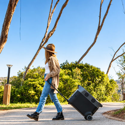 EF ECOFLOW Solar Generator 3.6Kwh DELTA Pro with 2X400W Portable Solar Panel, 23% High Efficiency, 5 AC Outlets, 120V/3600W, for Home Backup Outdoors Camping RV Emergency
